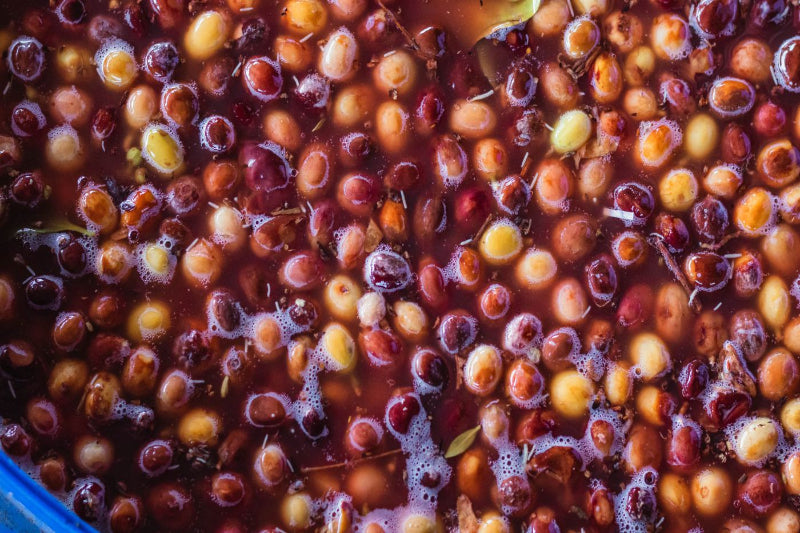 Purple Caturra Coffee Cherries fermenting in red juice, alcohol and mango.  From the farm of Rodrigo Sanchez Valencia - Finca Monteblanco